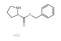 L-脯氨酸芐酯鹽酸鹽生產(chǎn)廠家_L-脯氨酸芐酯鹽酸鹽供應(yīng)商_L-脯氨酸芐酯鹽酸鹽批發(fā)/供應(yīng)/采購