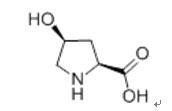 L-羥脯氨酸 來源、性質(zhì)與應(yīng)用